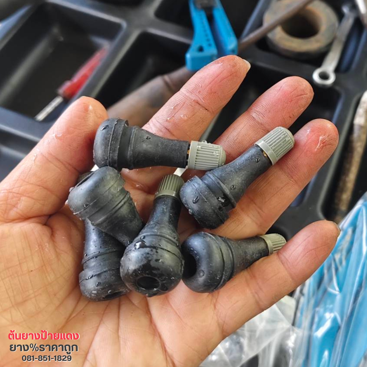 เปลี่ยนจุ๊บลมใหม่ 4 ตัว ร้านยางรถยนต์ บางพูด ปทุมธานี